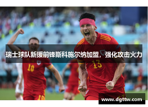 瑞士球队新援前锋斯科施尔纳加盟，强化攻击火力